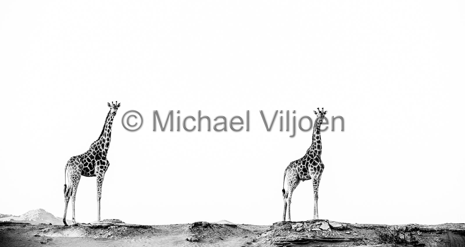 Black and White Photography